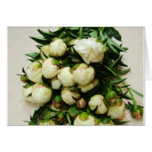 Le bouquet de la pivoine blanche bourgeonne le car