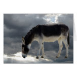 Le Burro assez petit opacifie le ciel - sympathie  Cartes De Vœux