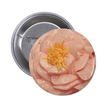 le buttercream s'est levé badges