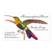 Le carte de visite de l'amant de colibri - coloré