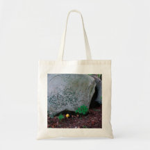 Le champignon imite le sac de Boulder