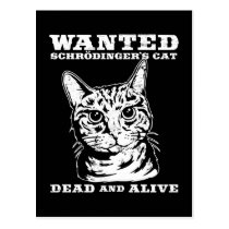 Le chat de Schrodinger a voulu des morts ou vivant cartes postales