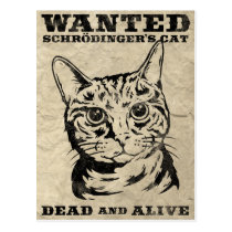 Le chat de Schrodinger a voulu des morts ou vivant cartes postales