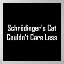 Le chat de Schrodinger n'a pas pu s'inquiéter moin Poster