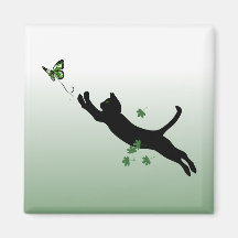 Le chat et le papillon aimants