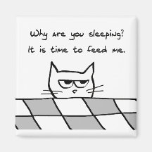 Le chat fâché vous veut hors du lit aimants