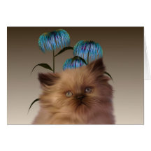Le chaton fleurit la carte de note