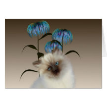 Le chaton fleurit la carte de note