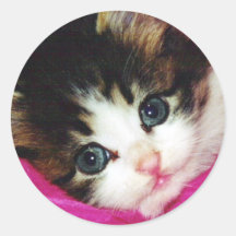 Le chaton le plus mignon des mondes autocollants