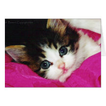 Le chaton le plus mignon des mondes carte de vœux