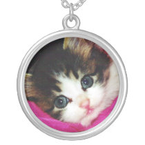 Le chaton le plus mignon des mondes colliers