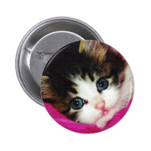 Le chaton le plus mignon des mondes pin's
