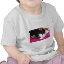 Le chaton le plus mignon des mondes t-shirt