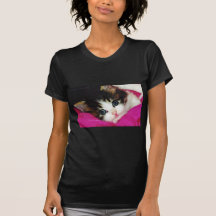 Le chaton le plus mignon des mondes t-shirts