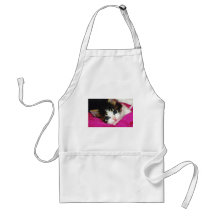 Le chaton le plus mignon des mondes tabliers