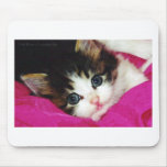Le chaton le plus mignon des mondes tapis de souris