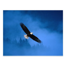 Le Chauve-Eagle-Alaska Invitation Personnalisée