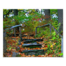 Le chemin tirages photo