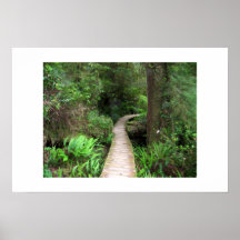 Le chemin vert posters