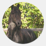 Le cheval des Rois Stickers Autocollants