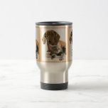 Le chien aime la tasse de chat