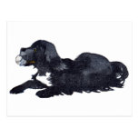Le chien avec la boule veut jouer l'effort cartes postales