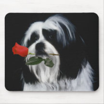 Le chien de Shih Tzu Tapis De Souris
