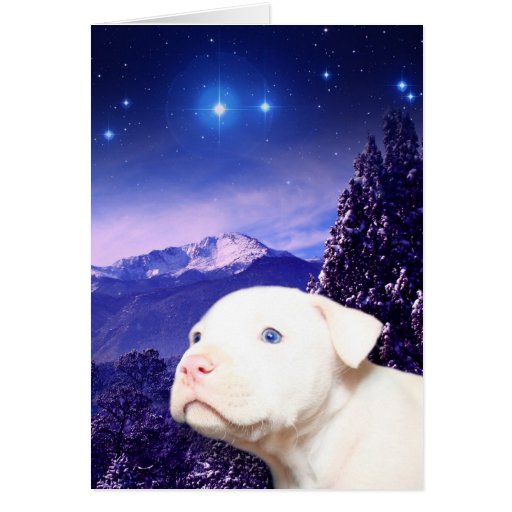 Le chien est Dieu écrit vers l'arrière… Cartes De Vœux