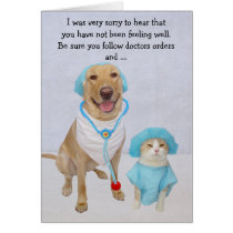 Le chien/laboratoire et le chat drôles obtiennent  cartes