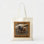 Le chiot de Yorkshire Terrier m'adoptent sac