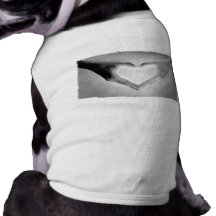 Le coeur remet la photo de B&W Manteaux Pour Chien