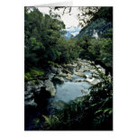Le courant de montagne, parc national de Fiordland Cartes