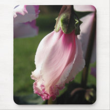 Le cyclamen a appelé Metis Victoria Tapis De Souris