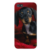 Le Doxie le plus mignon jamais Étui iPhone 5