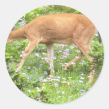 Le faon de cerfs communs fleurit une photo plus pl adhésifs