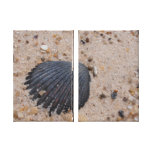 Le feston Shell a enveloppé la toile côte à côte Toile Tendue