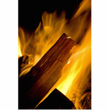 Le feu de camp photo en relief