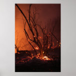 Le feu de forêt poster