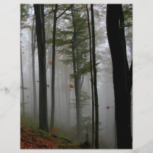 LE FEUILLE MYSTÉRIEUX D'ARBRES FORESTIERS TOMBE CO PROSPECTUS