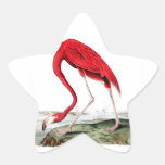 Le flamant rouge d'Audubon Autocollants En Étoile
