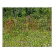 Le fleur sauvage met en place l'épreuve photograph