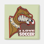 Le football fou de chien aimants