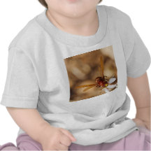 Le frelon oriental Orientalis T-shirts