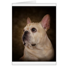 Le Frenchie Carte De Vœux