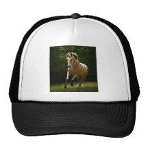 Le galop casquettes