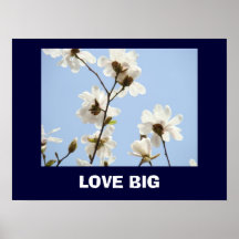 Le GRAND art d'AMOUR imprime le CIEL BLEU de magno Affiches