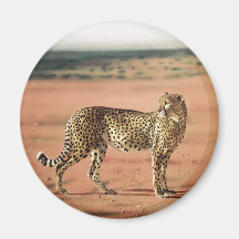 Le guépard imprime des magnats magnets pour réfrigérateur
