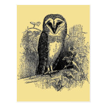 Le hibou de grange carte postale
