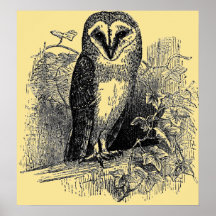 Le hibou de grange posters