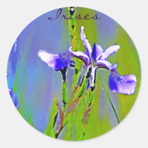 Le jardin bleu d'iris fleurit l'art de concepteur  adhésifs